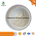Factory price Phloretin Extract active ingredients powder